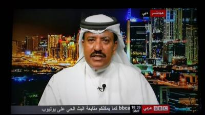 أول تعليق إماراتي بشأن قرار تعيين الفريق علي محسن الأحمر نائباً لهادي