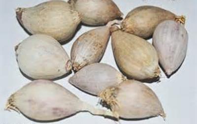 بشهادة بريطانية: الفياجرا اليمنية الأفضل عالمياً