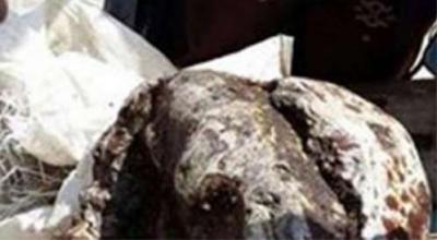 شقيقان يمنيان خرجا لصيد السمك على البحر فعثرا على كنز بـ 30 مليون ريال