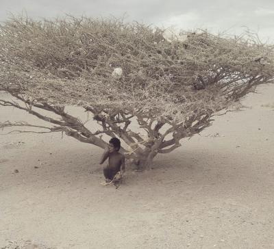 شاهد صور مؤلمة من تعز ليست فوتوشوب وليست من افلام الخيال.. تعرف على قصة هذا الطفل النازح الذي تم ربطه بشجرة
