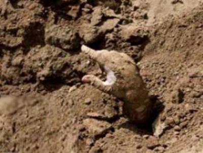 في حادثة غريبة : غُسلت وكُفنت الخميس و " استيقظت " في القبر الجمعة.. وعادت لأبنائها