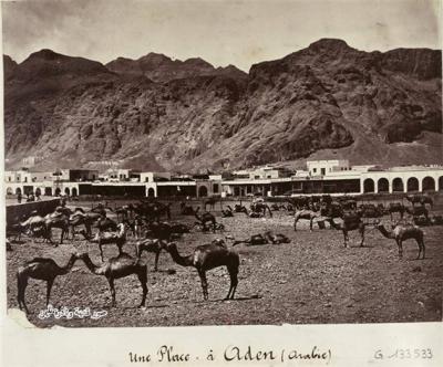 شاهد صور نادرة لسوق الجمال بعدن فى القرن الـ 19م
