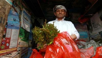القات المجفف: تجارة يمنية محظورة تغزو العالم