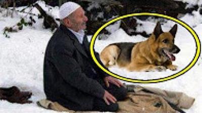بالفيديو : ادخلوا كلباً مسعوراً ليقتل رجل وهو يصلي.. وهذا ماحدث؟