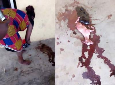 «شاهد» في حادثةٍ أغرب من الخيال .. امرأة تنجب “ماعزاً” بعد حمل عامين (فيديو)