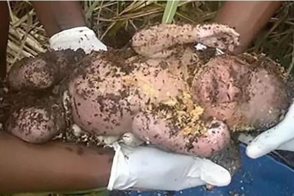 إخراج رضيع من قبر بعد 3 أيام من دفن أمّه له وهو حيّ لسبب صادم (صوره)