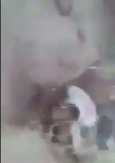اليمن : شاهد فيديو صادم لمليشيات الامارات وهي تدفن احد الاسرى في المخا ولم تشفع له توسلاته