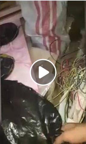 اليمن :شاهد بالفيديو لحظة اقتحام قوات شلال شايع لمقر حزب الاصلاح في عدن