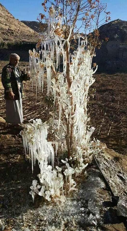 اليمن : برد شديد حتى وصل الى التثلج لأول مره بتاريخ اليمن (صور حصرية) اليمن : برد شديد حتى وصل الى التثلج لأول مره بتاريخ اليمن (صور حصرية)