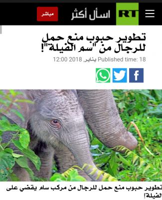 ذي صان : تطوير حبوب منع حمل للرجال من سم الفيلة