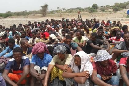 الهجرة الدولية: وصول أكثر من 37 ألف مهاجر إفريقي إلى اليمن خلال عام