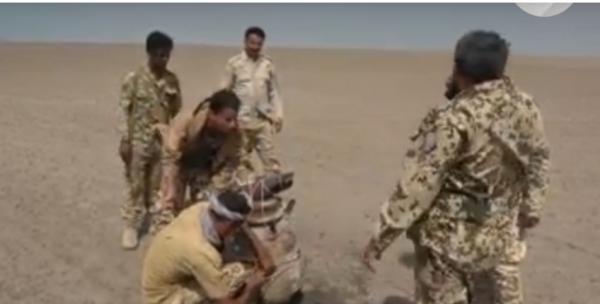 الحديدة : ذهب ليصطاد السمك فعاد محملاً بلغم نوع "صدف"