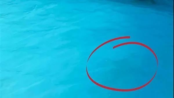 احذروا السماح للأطفال  بارتداء ملابس زرقاء في حوض السباحة!