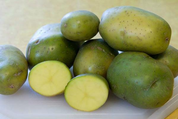 طبيبة تحذر من خطورة البطاطا في هذه الحالات ..!