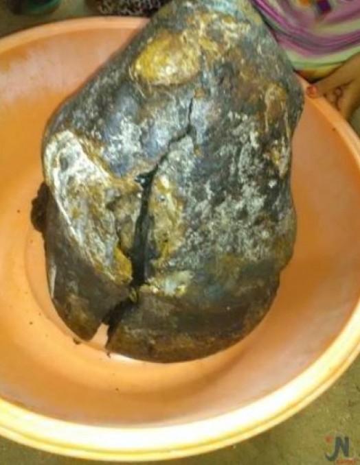 عنبر الحوت يتسبب في ثراء شباب يمنيين في تعز