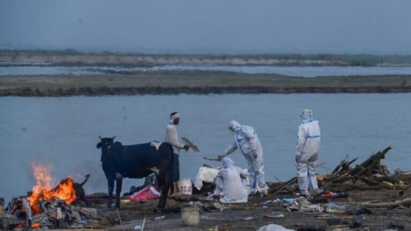 على خلفية تأثير كوفيد19.. الهند تعلن عن ظهور وباء "العفن الأسود" في ولايتين 
