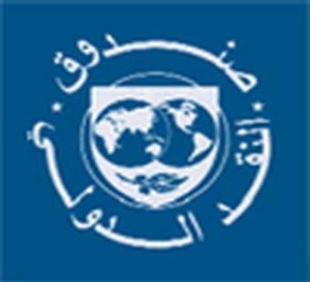   صندوق النقد الدولي  غير مصدق  حجم الفساد من  مبارك ونظامه